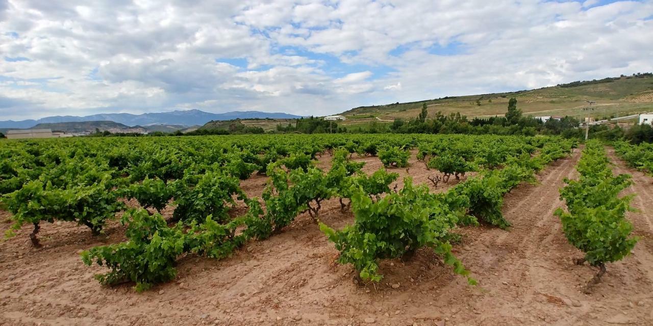 Apartamento Entrevinas En El Corazon De La Rioja Fuenmayor Bagian luar foto